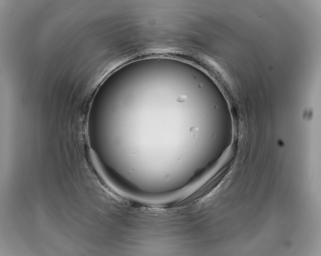 X0000090501361200707201537