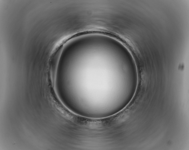X0000090501363200707201537