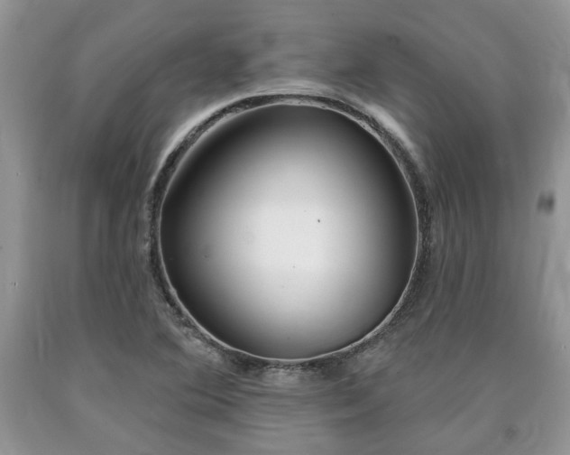 X0000090501364200707201537