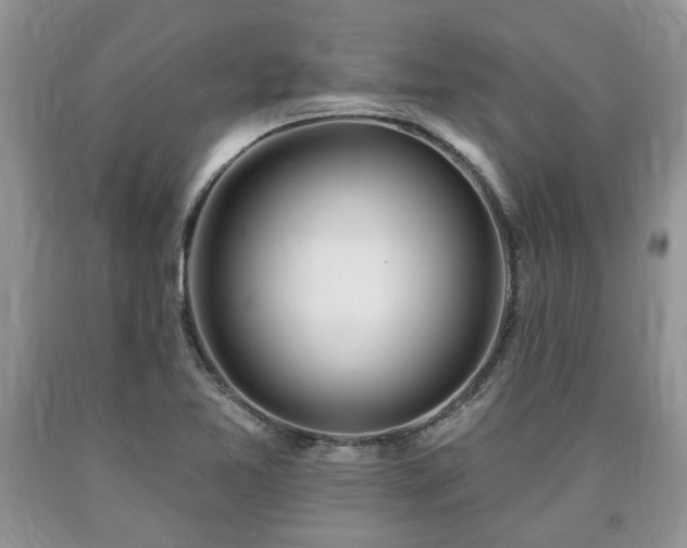 X0000090501365200707201537