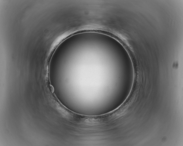 X0000090501366200707201537