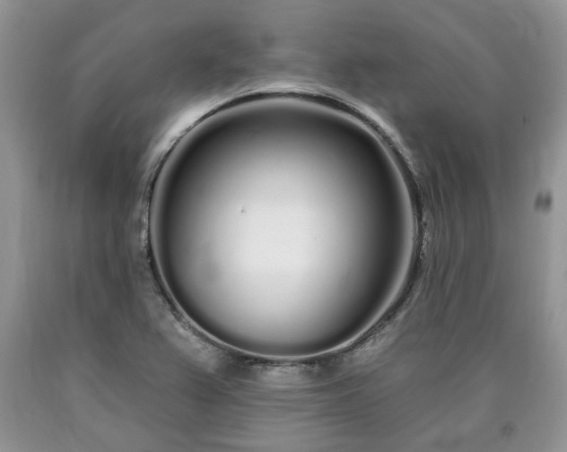X0000090501367200707201537