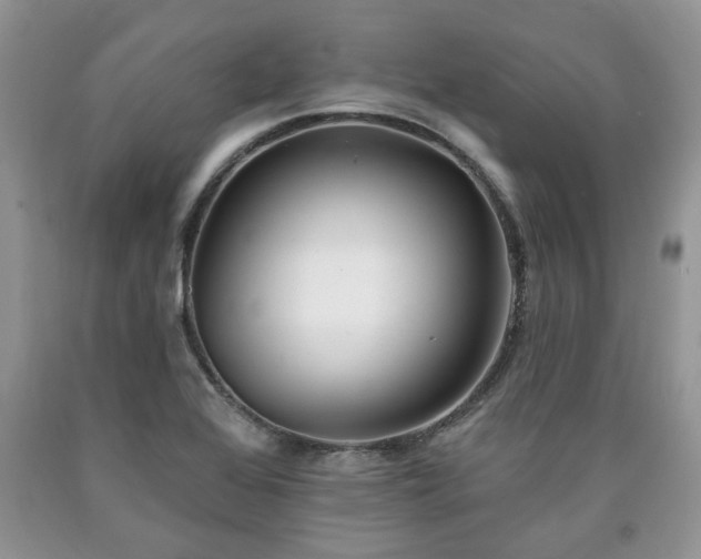 X0000090501368200707201537