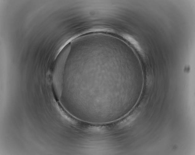 X0000090501369200707201537