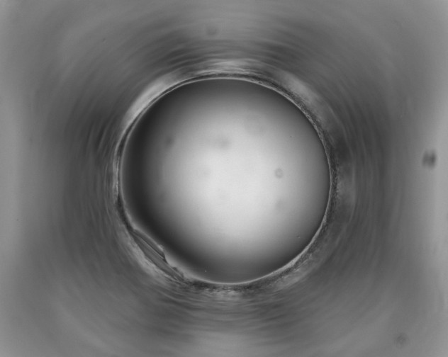 X0000090501370200707201537