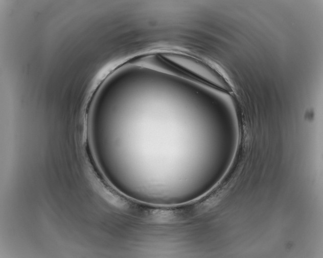 X0000090501371200707201537