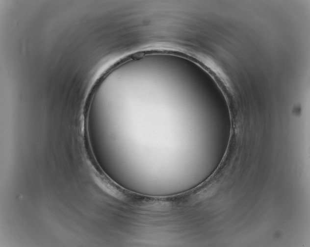 X0000090501372200707201537