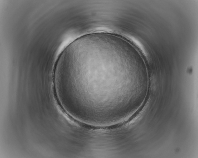 X0000090501373200707201537