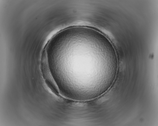X0000090501374200707201537