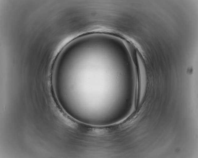 X0000090501375200707201537