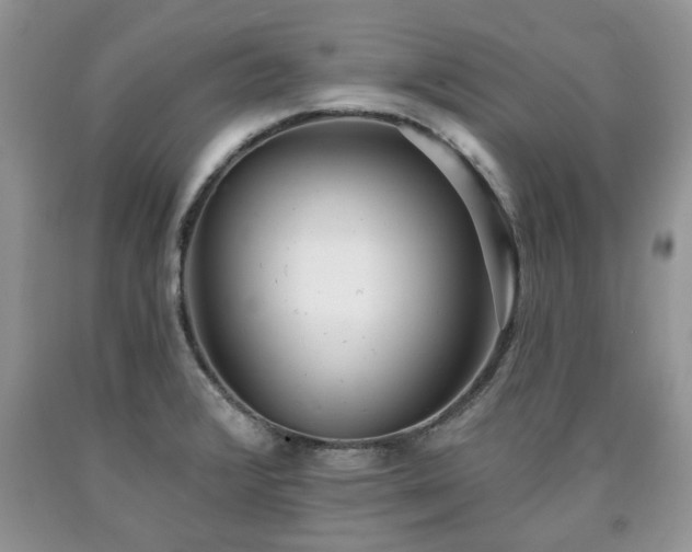 X0000090501376200707201537
