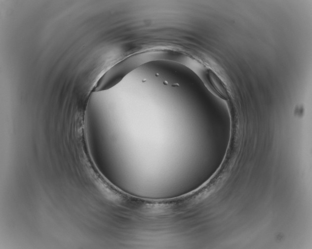 X0000090501377200707201537