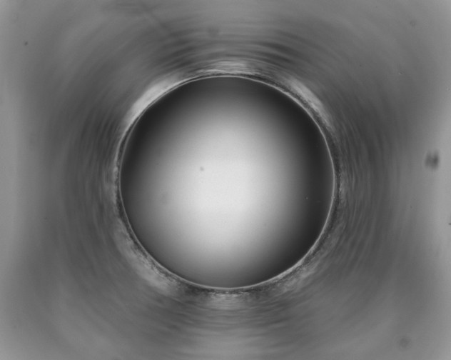 X0000090501378200707201537