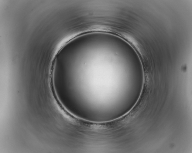 X0000090501379200707201537