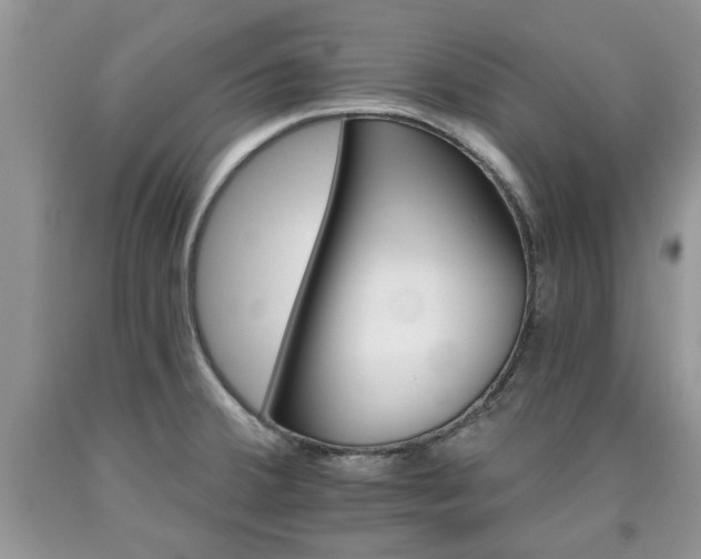 X0000090501380200707201537
