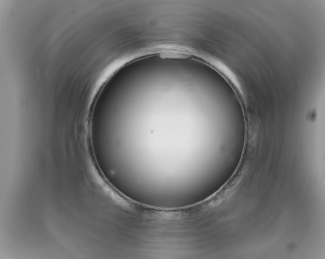 X0000090501381200707201537