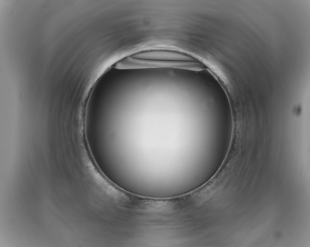 X0000090501382200707201537