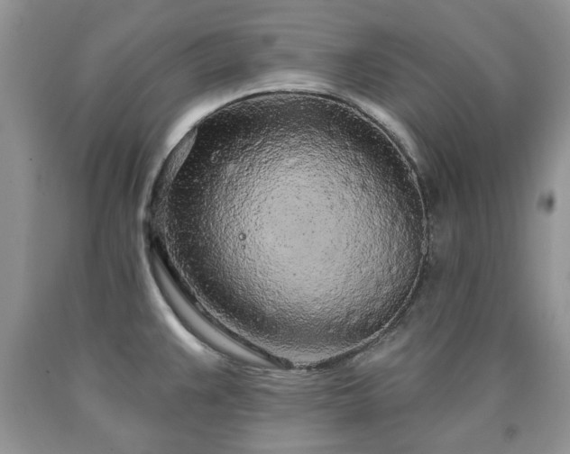 X0000090501383200707201537