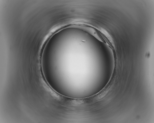 X0000090501384200707201537