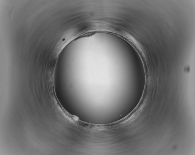 X0000090501385200707201537