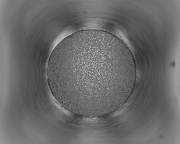 X0000090501386200707201537