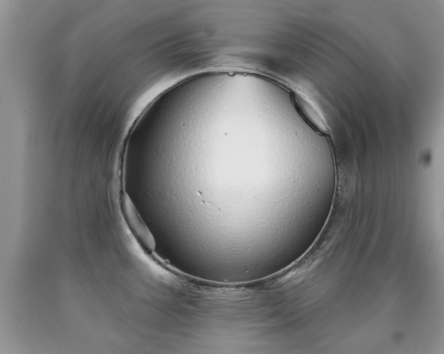 X0000090501387200707201537