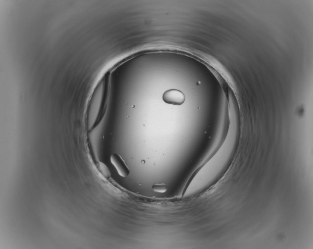 X0000090501388200707201537