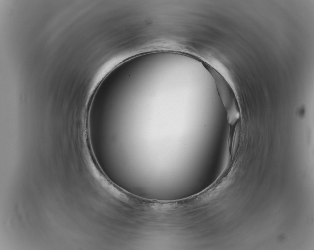 X0000090501389200707201537
