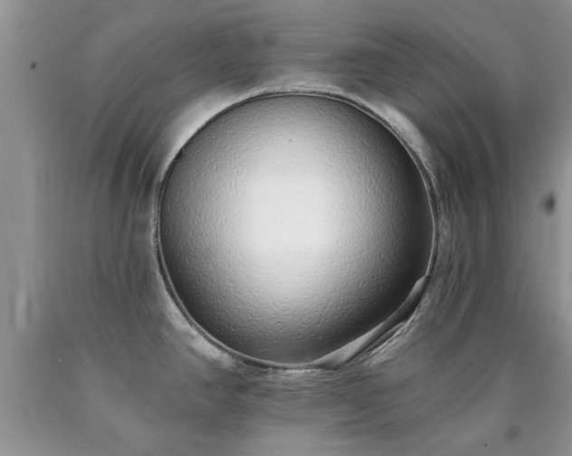 X0000090501390200707201537