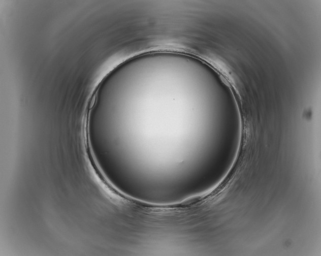 X0000090501391200707201537
