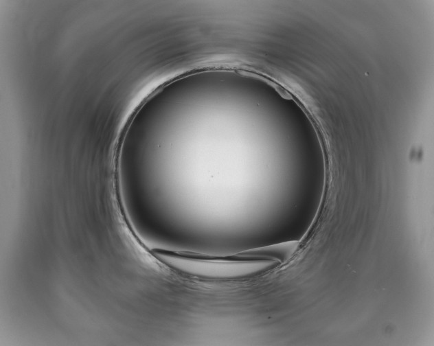 X0000090501392200707201537