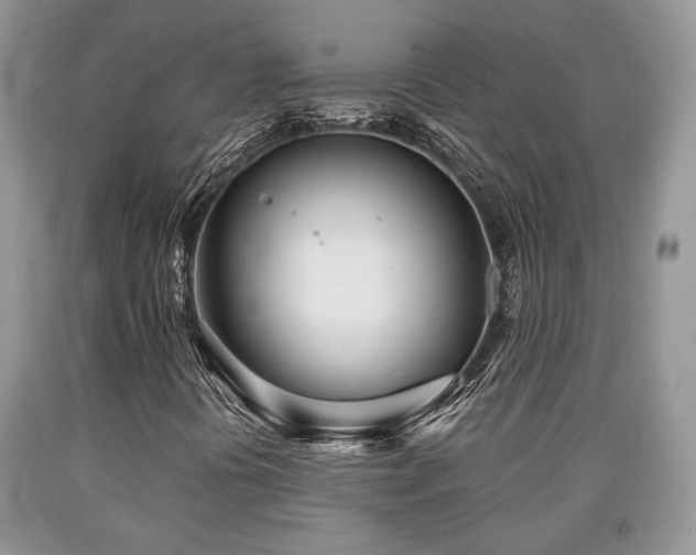 X0000090501394200707201536
