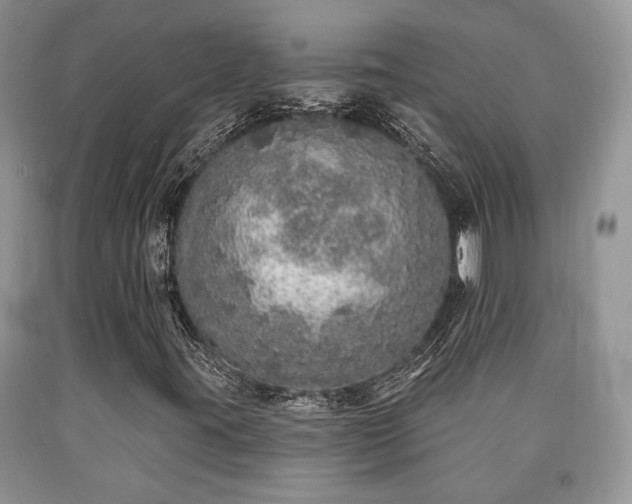 X0000090501395200707201536