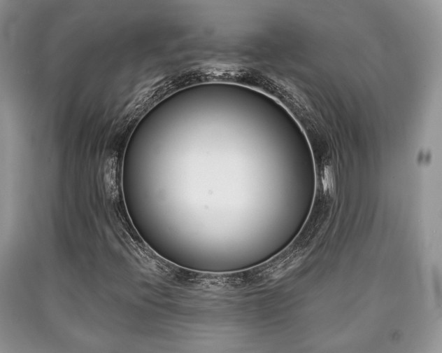 X0000090501396200707201536