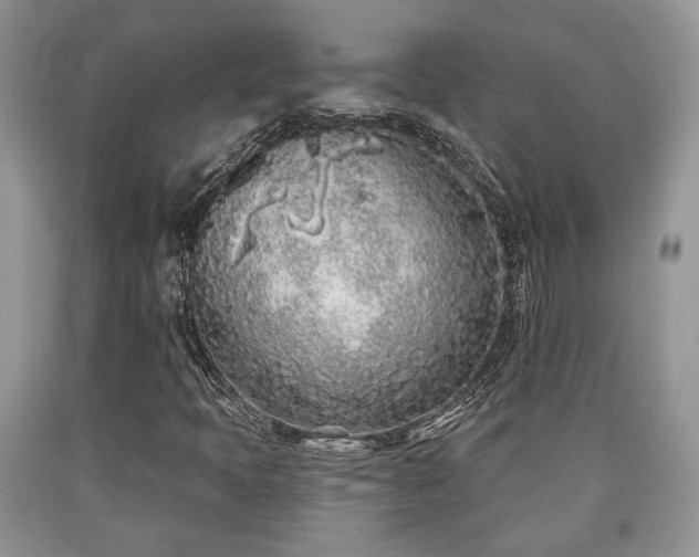 X0000090501397200707201536