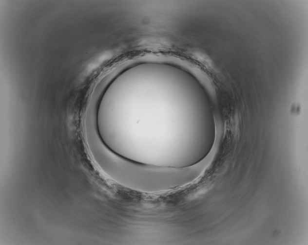 X0000090501398200707201536