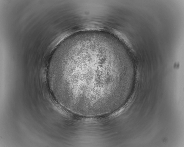 X0000090501401200707201536