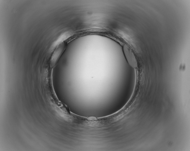 X0000090501402200707201536