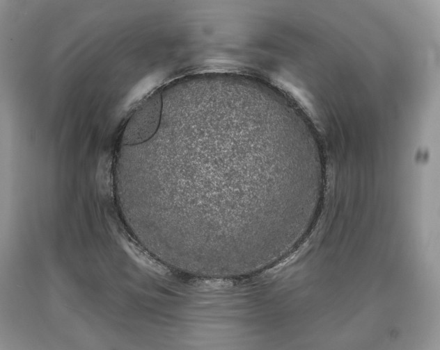 X0000090501403200707201536