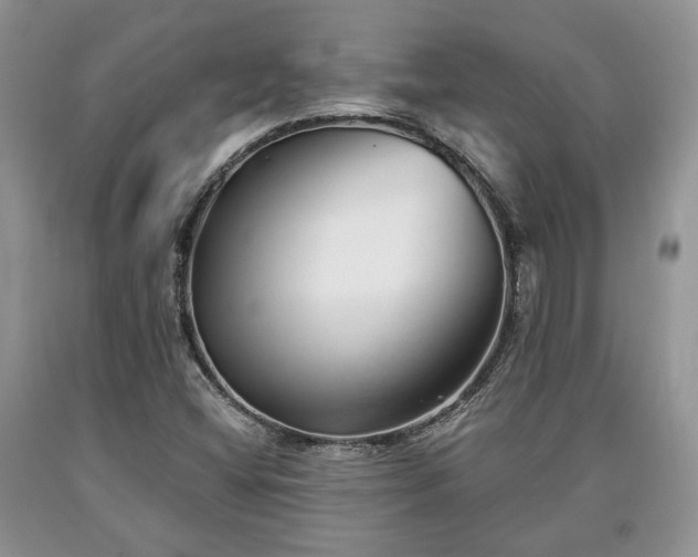 X0000090501404200707201536