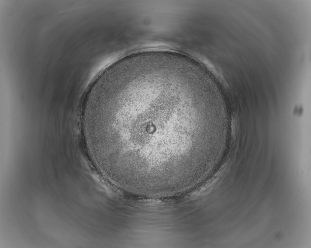 X0000090501405200707201536