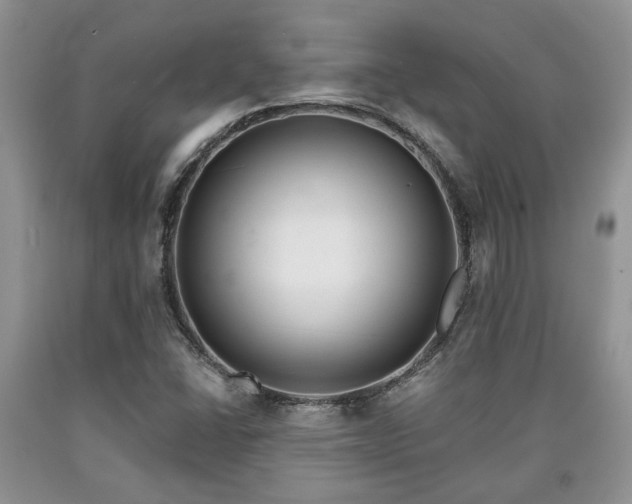 X0000090501406200707201536