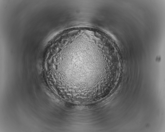 X0000090501407200707201536