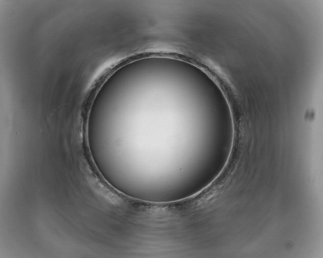 X0000090501408200707201536