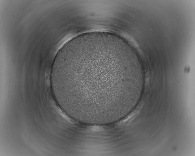 X0000090501409200707201536