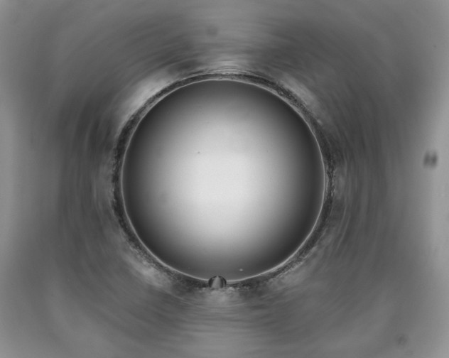 X0000090501410200707201536