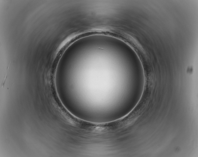 X0000090501412200707201536
