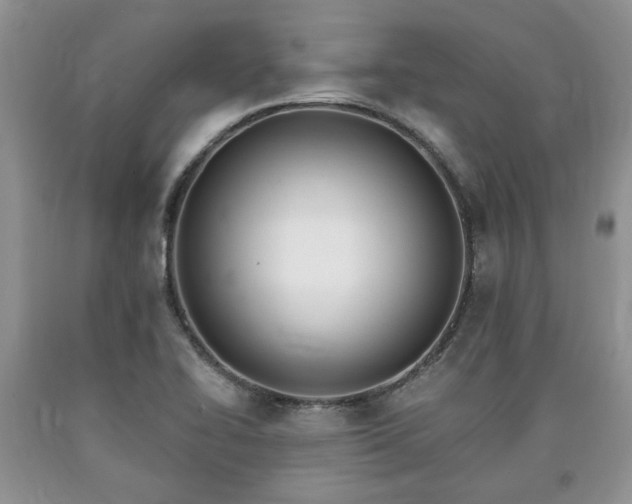 X0000090501414200707201536