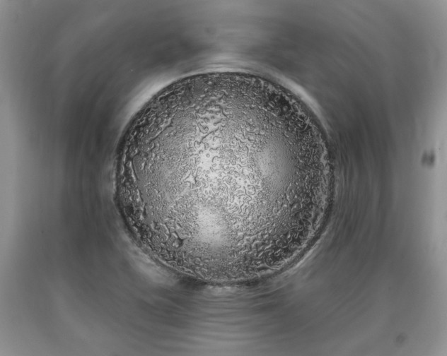 X0000090501415200707201537