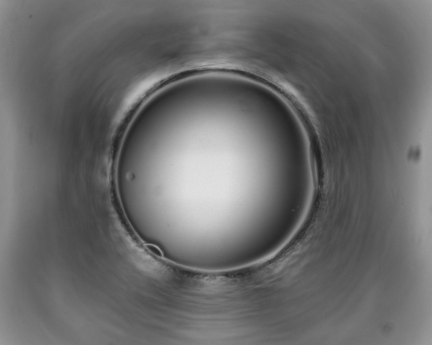 X0000090501416200707201537